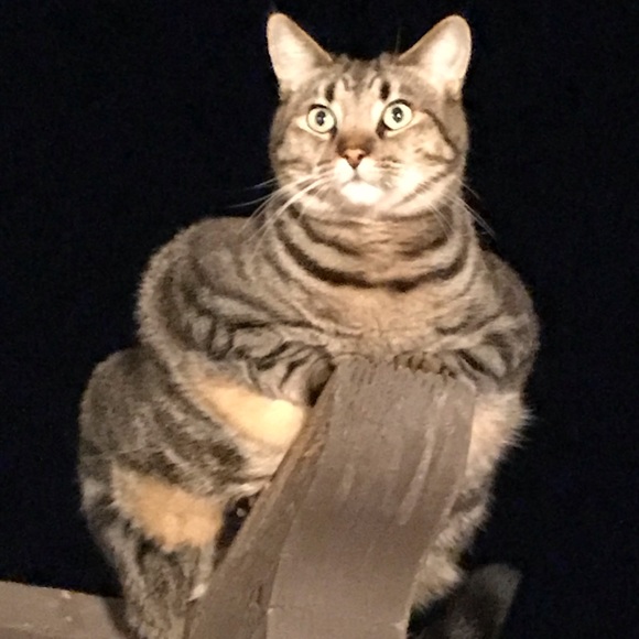 A little about my closet.... - Picture 8 of 8